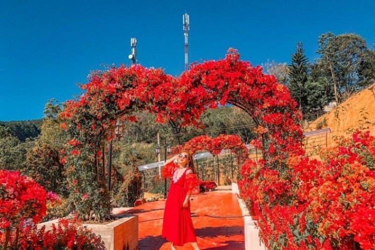 Vườn Thượng Uyển Bay - Đà Lạt